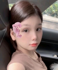 杭州伴游蝶宝照片