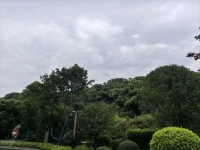 无名渣渣辉的照片