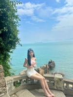 敷衍s231的照片