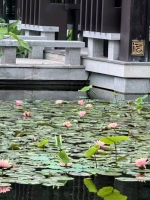 丫丫子女的照片