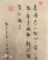 国富论Estelle的照片